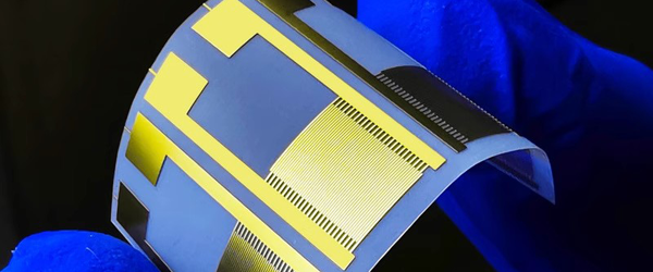 PET Interdigital Electrodes